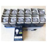 13pc GE Reveal 30-70-100w replacement 3-way