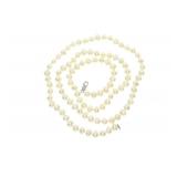 "Genuine Fresh Water Pearl Necklace Sterling