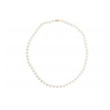 "Natural Fresh Water Pearl Necklace 14KT Yellow