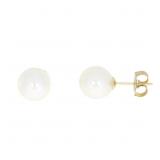 "Fresh Water Pearl Stud Earrings 14KT Yellow