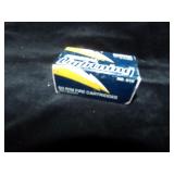 Winchester Wildcat 22