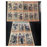 NFL 1993 Dolphins uncut Cards