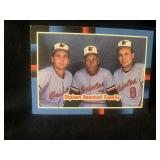 Ripken Baseball Family