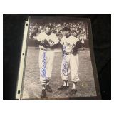 Mickey Mantle and Ted Williams