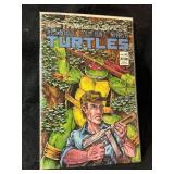 Teenage Mutant Ninja Turtles