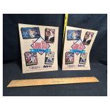 Houston Astros Program