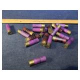 Shotgun shells
