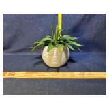 Greenery d�cor Greenery d�cor