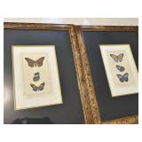 Butterfly wall d�cor Butterfly wall d�cor