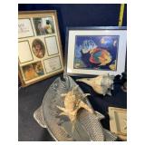 Fish and shell lot
