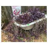 Antique Clawfoot bathtub