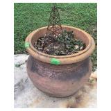 Clay pot with Sego palm