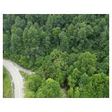 95 Surveyed Acres in Boone County 