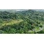 71.6 Acres Along Husky Highway in Marion County