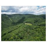 Over 82 Wooded Mountain Acres Along US-50 in Preston County Selling to the Highest Bidder
