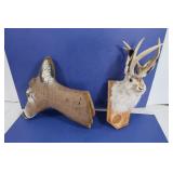 Jackelope Mounted Head & Deer Decor Jackelope Mounted Head & Deer Decor