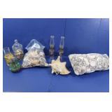 Large Lot-Seashells & 2 Sm. Oil Lamps