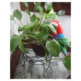 3 Live Plants w/Planters & Plant Food