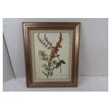 Wood Framed Picture-22x17"