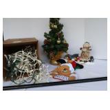 Christmas Lights & Decorations