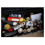 Misc Lot-Paint, Car Cleaning Supplies &more