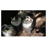 4 Propane Tanks & 3 Milk Crates