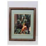 C.F. Glover signed Print, Framed/Matted-16x13"