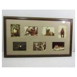 Framed/Matted Animal Pictures-19 1/2x34"