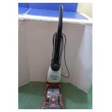 Dirty Devil Easy Steamer