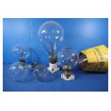Large Assortment of Lightbulbs