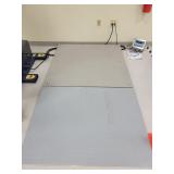 Bracknell Pegasus Floor Scale w/ Ramp
