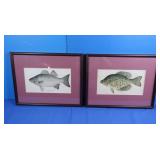 2 Bass Prints-11x14"