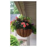 Hanging Flower Basket