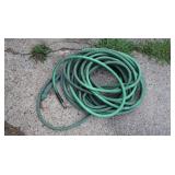 Hose