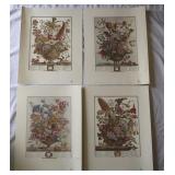 12 Months of Flowers Robert Furber-Feb, Dec, Aug,