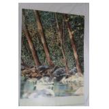 David Kessler Print 25x36