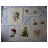 (4) Grace Phillips 9x12"; "Prima Donna" Signed