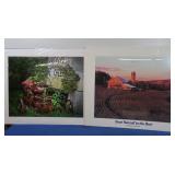 Tractor Photo, Mounted 20x16 on 24x20, Mail Pouch