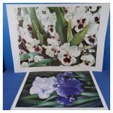"Dover Beach Iris" Pamela Outlaw- Sarkisian,