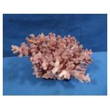Pink Coral