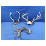 7pt, 3pt & 1/2 Rack Deer Antlers