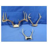 10pt, 4pt, & 3pt Deer Antlers