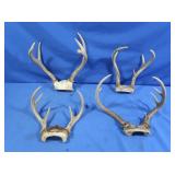 7pt, 2-6pt, & 5pt Deer Antlers