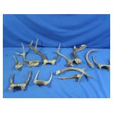 Misc Antlers