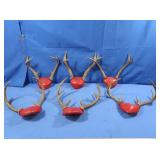 7pt, 3-6pt & 4pt Deer Antlers