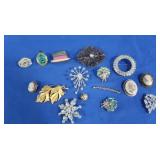 Assorted Pins and Brooches
