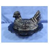 Turquoise Hen on Nest