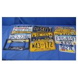 Asst License Plates