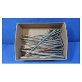 Landscape Garden Nails