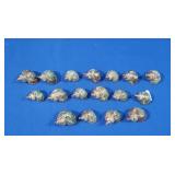 Genuine Seashells trimmed in 24K Gold